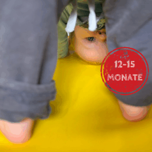 Schmetterlingsgruppe